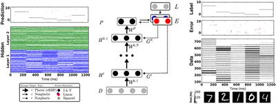 Event-Driven Random Back-Propagation: Enabling Neuromorphic Deep Learning Machines